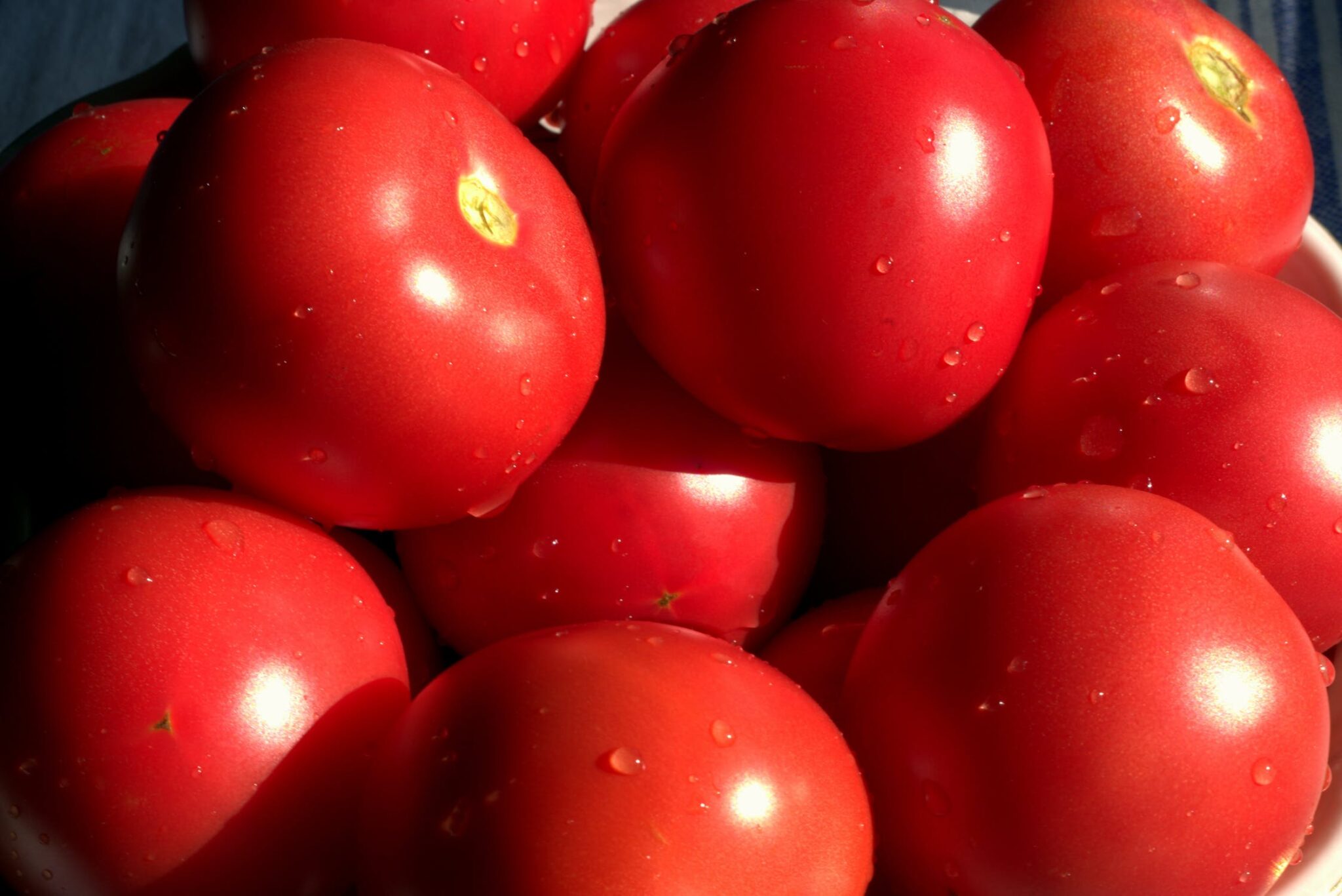 Tomatoes
