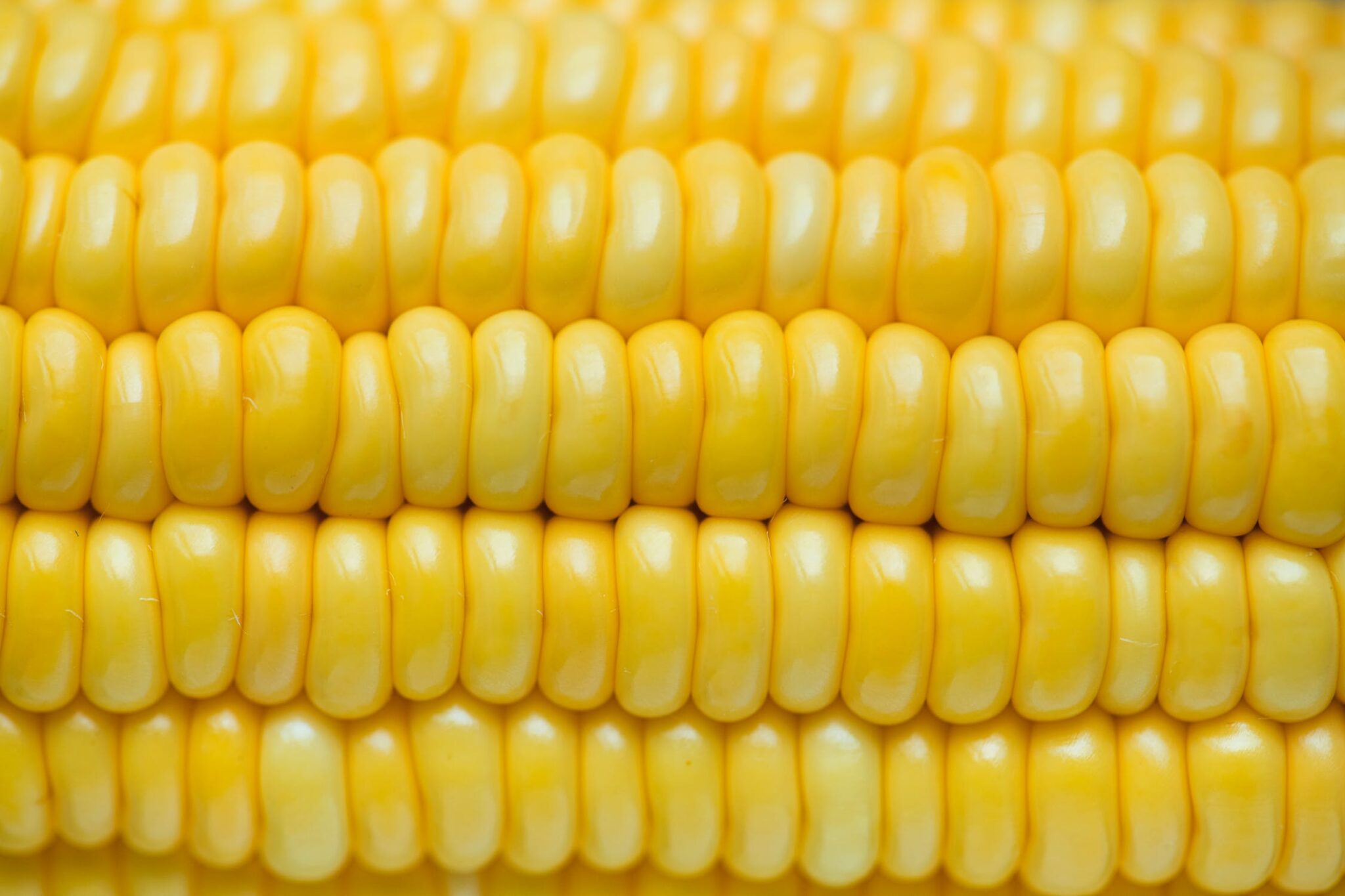 Corn