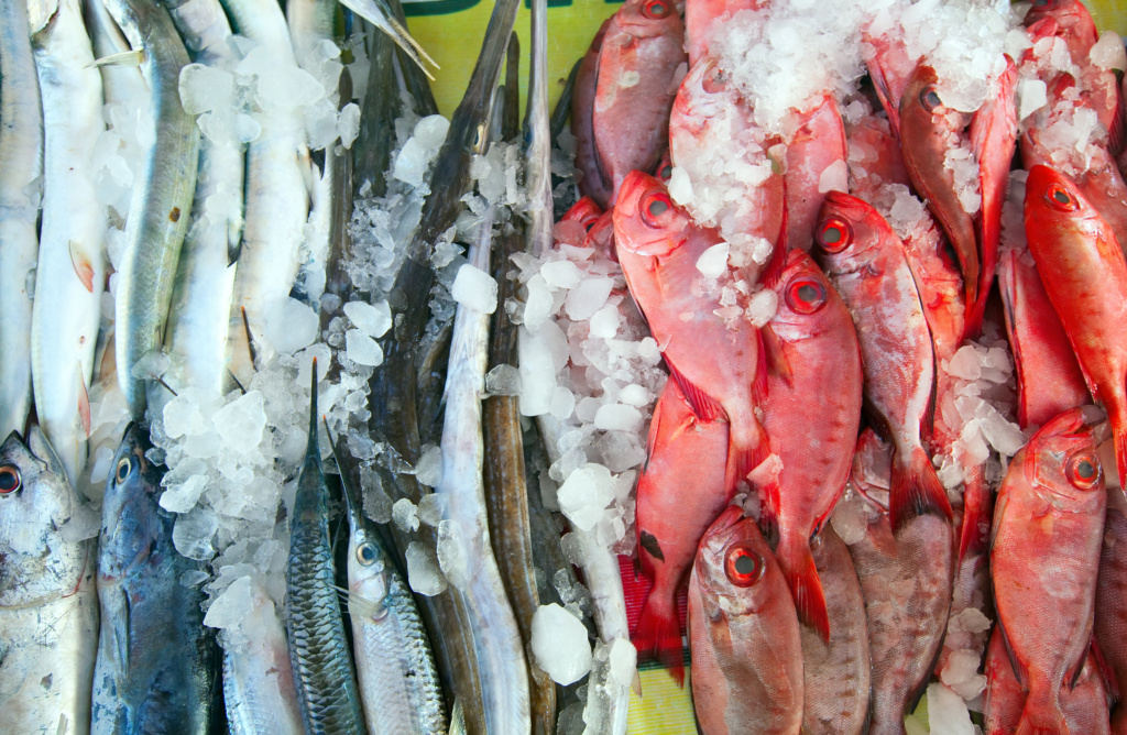 dining alliance seafood commodity updates - the dish