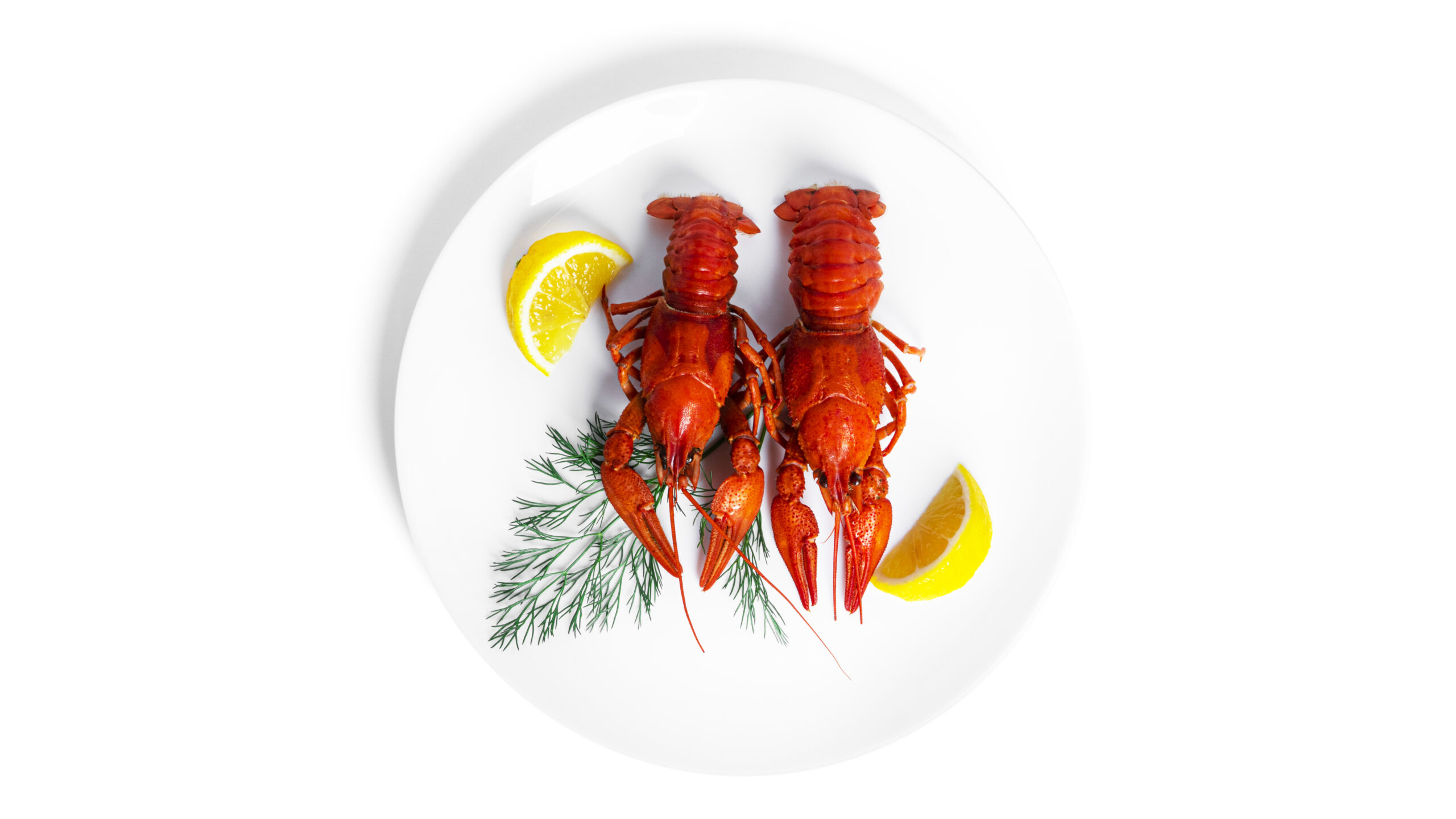 Seafood commodity update exclusively for Dining Alliance members, powered by CommodityONE